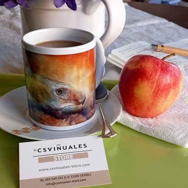 San Miguel, Zaragoza